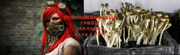 скорость Пересвет