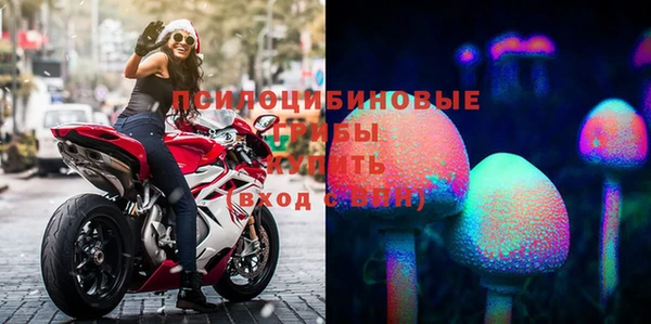 прущая мука Переславль-Залесский