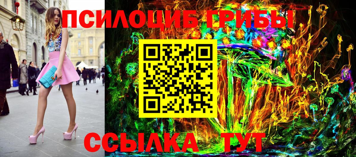 Псилоцибиновые грибы Psilocybe Алексин