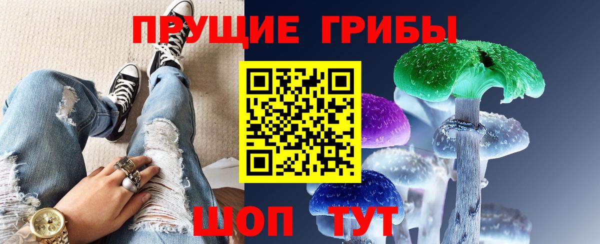 наркотики  Алексин  Галлюциногенные грибы Psilocybe 