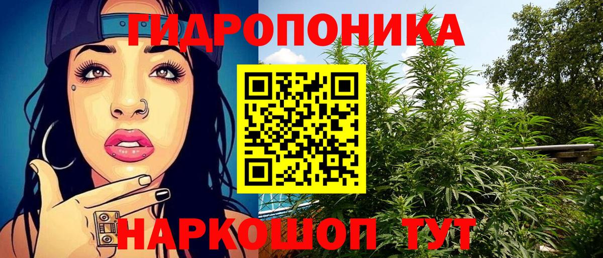 Шишки марихуана Ganja  Марихуана план  Каннабис White Widow  Вход с VPN  Каннабис OG Kush  Алексин 